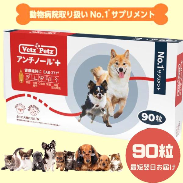 【90粒】【あす楽】アンチノールプラス　アンチノールplus  犬用サプリメント 90粒