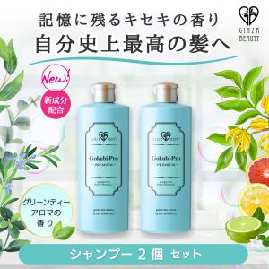 シャンプー ゴクビプロ グリーンティーアロマ スカルプシャンプー 2個セット5%OFF　スカルプケア 頭皮ケア 弱酸性 レディース メンズ