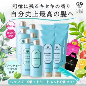 ゴクビプロ PREMIUM グリーンティーアロマ シャンプー＆トリートメント６個セットで20％OFF 送料無料 コーム、SPAバックプレゼント！