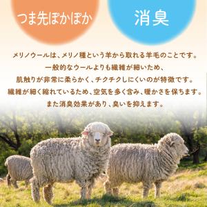つま先 冷え 足先 指先 あたためる ソックス...の詳細画像2
