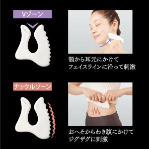 カッサ 足 腕 顔 お腹 全身 洗える かっさ...の詳細画像3