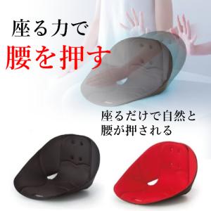 骨盤クッション 座椅子 ボードクッション cosios コシオス