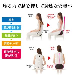 骨盤 クッション 座椅子 美姿勢 長時間 デス...の詳細画像2