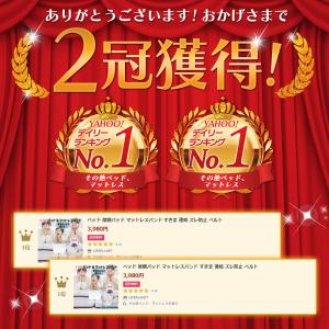 隙間パッド ベッド マットレスバンド すきまパ...の詳細画像1