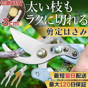 剪定ばさみ バサミ はさみ ハサミ 鋏 強力 庭 木 ガーデニング 園芸 枝切り ロック 軽量 庭木  造園 盆栽 植木