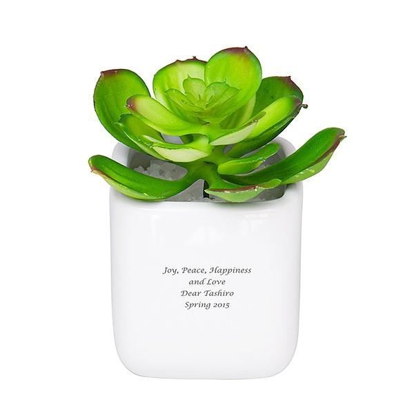 名入れギフト カワイイ 結婚祝い おしゃれ CT触媒グリーン エケベリア  記念品  新築祝い プレ...