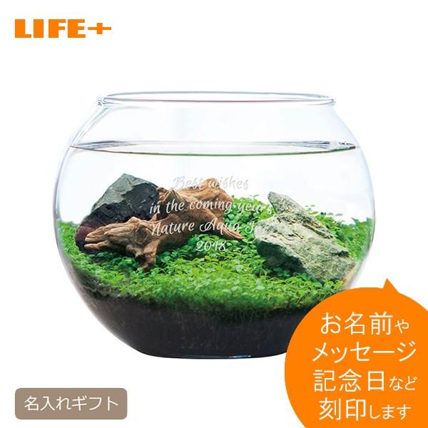 名入れギフト アクアリウム L 開店祝い 贈り物 記念品 プレゼント 店名入り 店舗 カフェ 開業祝...