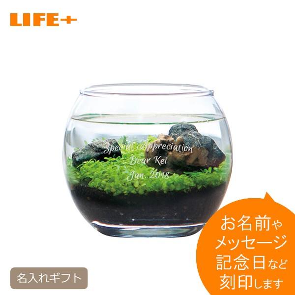 名入れギフト アクアリウム S 開店祝い 贈り物 記念品 プレゼント 店名入り 店舗 カフェ 開業祝...