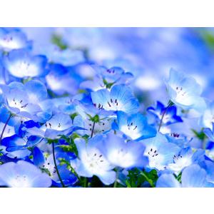 名入れ ギフト かわいい 誕生日プレゼント 妻...の詳細画像4