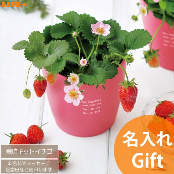 名入れ ギフト かわいい 誕生日プレゼント 妻 友達 贈り物 カワイイ 可愛い 母 退職祝い 女の子...