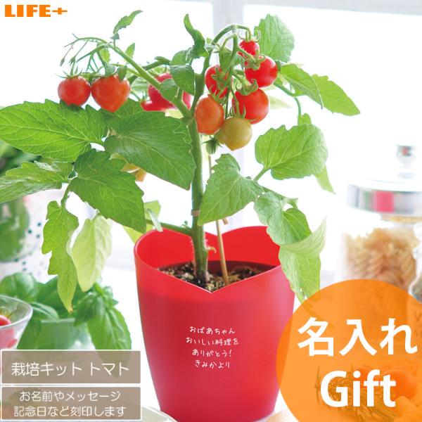 名入れ ギフト かわいい 誕生日プレゼント 妻 友達 贈り物 カワイイ 母 退職祝い 女の子 女性 ...