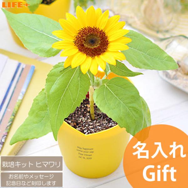 名入れ ギフト かわいい 誕生日プレゼント 妻 友達 贈り物 カワイイ 母 退職祝い 女の子 女性 ...