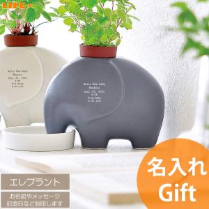 ジブリ グッズ となりのトトロ プランターカバー お花機関車ととろ号