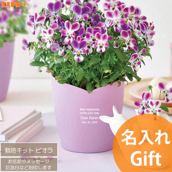 名入れ ギフト かわいい 誕生日プレゼント 結婚記念日 妻 贈り物 カワイイ 母の日 母 祖母 娘 ...