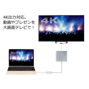 TYPE-C から HDMI出力 TYPE-C...の詳細画像2