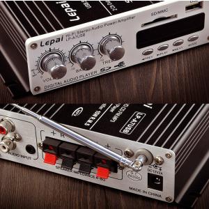 LEPY製コンパクトオーディオアンプ USB/...の詳細画像4