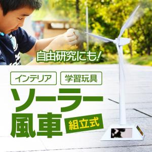 組み立て式 ソーラー風車 卓上オブジェ 知育玩具 自由研究にも 風力タービン ECO学習 インテリア 子供も大人も ECOインテリアウインドミル LP-SWDM03｜lifepowershop