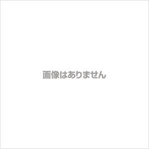 SATO 佐藤計量器 バイメタル温度計 L=50mm （感温部φ8） 用保護管 R（PT）1/2 3300-00｜lifescale