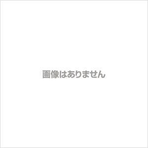 吉田製作所 シルバー身長計YS201/YS202用 ハカマと足台用ボルト・ナット（1本組）｜lifescale
