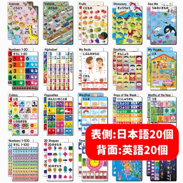 ナウエデュ幼児知育ポスター40種類（両面:ひらがな?ABC）子供、幼稚園、教室、ホームスクール NO...