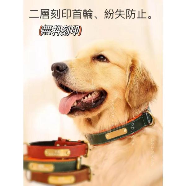 犬ブランドの首輪 刻印 カスタマイズ 子犬 中型大型犬 ペット 犬輪 首輪 首輪 紛失防止 犬の首輪