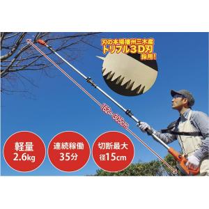 電動 のこぎり コードレス 高枝 園芸 DIY...の詳細画像3