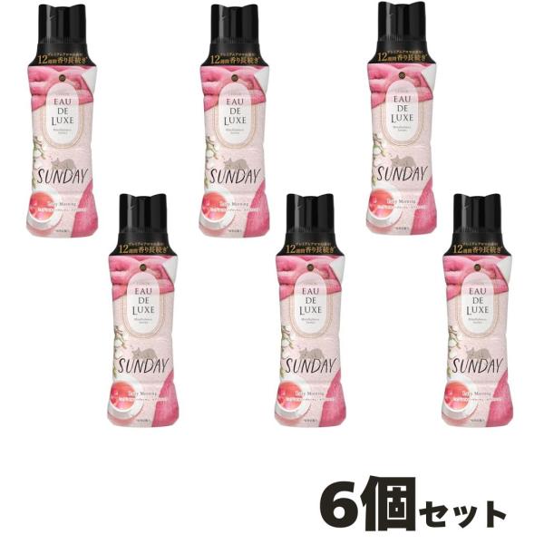 6個セット　レノア オードリュクス 香り付け専用ビーズ マインドフルネスシリーズ サンデー Lazy...