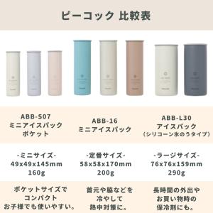 ピーコック ミニアイスパックポケット シリコー...の詳細画像1