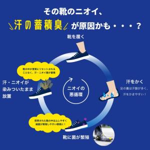 Dr.Scholl ドクター・ショール 靴 消...の詳細画像3