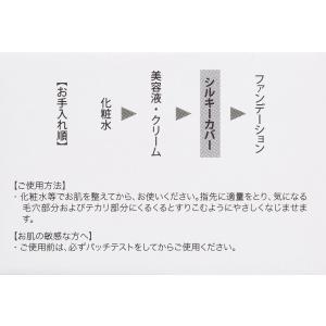 アプロス シルキーカバーオイルブロック 28gの詳細画像3