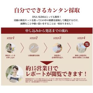 DNAスリム 遺伝子検査キットの詳細画像1