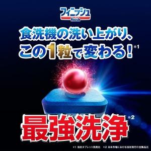 フィニッシュオールインワンプレミアムパワーボー...の詳細画像1