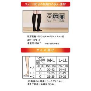 メディキュット マグネフロー コットンインソッ...の詳細画像3