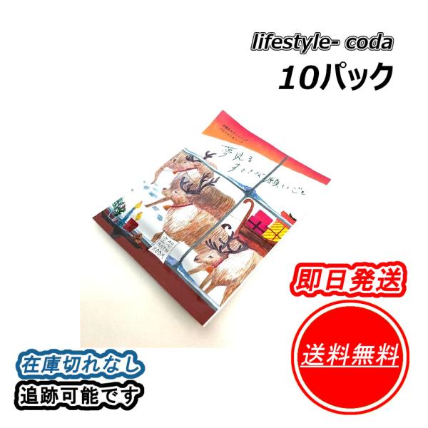 チャーリー 入浴剤 空想バスルーム 1包30g 10袋セット 夢見るすてきな願いごと