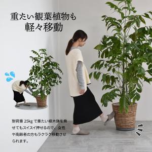 植木鉢トレー キャスター付き 30cm 鉢皿 ...の詳細画像3