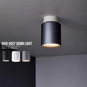 アートワークスタジオ AW-0525 チューブダウンライト 天井照明 シーリング Tube-down light (L)｜ARTWORKSTUDIO公式