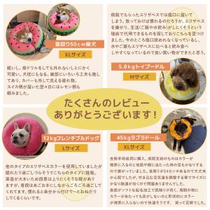エリザベスカラー 猫 犬 カラー 犬用 猫用 ...の詳細画像3