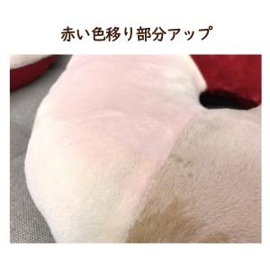 クッション 円座 訳あり 格安 特価 インテリ...の詳細画像4