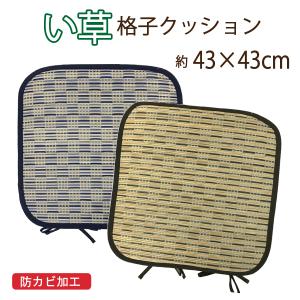 い草でお部屋をおしゃれに! い草クッション 格子 角型 紐...