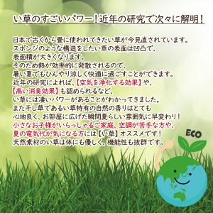 い草 座布団 クッション 円型 円形 ラウンド...の詳細画像3