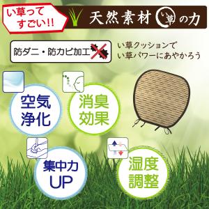 い草 座布団 クッション 馬蹄型 43×40c...の詳細画像5