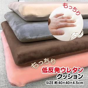 トゥルースリーパー（True Sleeper） 低反発座布団 FN005940 【正規品