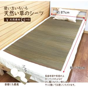 寝ござ い草 い草シーツ い草マット ござ 8...の詳細画像1