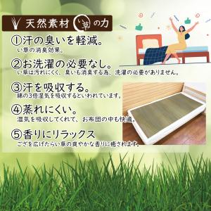 寝ござ い草 い草シーツ い草マット ござ 8...の詳細画像2