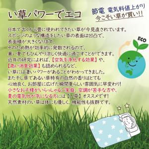 寝ござ い草 い草シーツ い草マット ござ 8...の詳細画像3