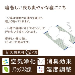 寝ござ い草 い草シーツ い草マット ござ 8...の詳細画像4