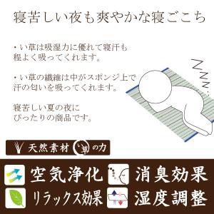 マット ござ 寝ござ シーツ 敷パッド 昼寝 ...の詳細画像2