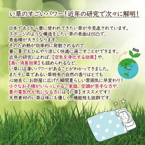 マット ござ 寝ござ シーツ 敷パッド 昼寝 ...の詳細画像3