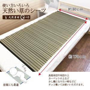 マット ござ 寝ござ シーツ 敷パッド 昼寝 ...の詳細画像4
