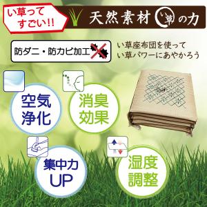 い草 座布団 55×55 クッション 5枚組 ...の詳細画像5